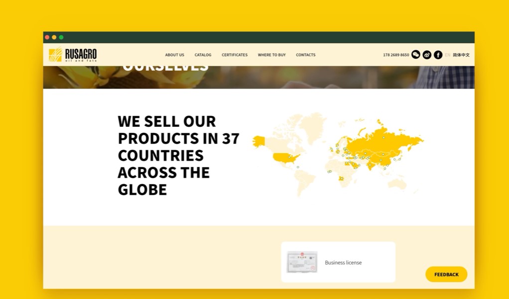 Разработка концепции вебдизайна для корпоративного сайта РусАгро: Веб студия дизайна Гуси Лебеди г. Москва