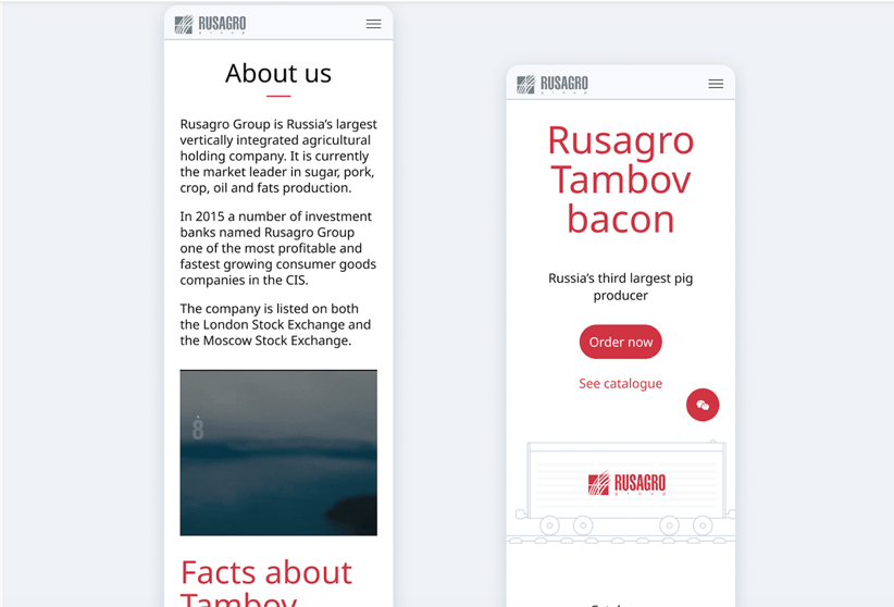Дизайн мобильной версии сайта на английском и двух китайских языках  сайта Русагро Гонконг - веб студия Гуси Лебеди